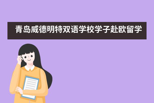 青岛威德明特双语学校学子赴欧留学的新选择--北欧雪国芬兰