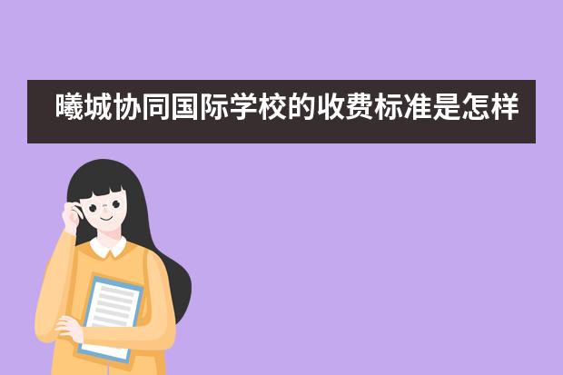 曦城协同国际学校的收费标准是怎样的？