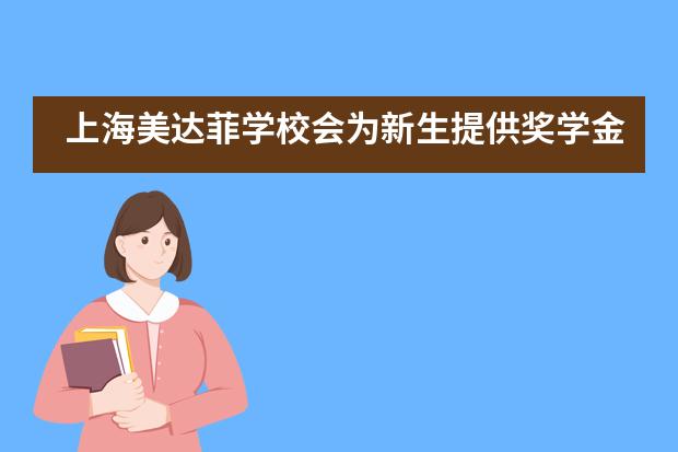 上海美达菲学校会为新生提供奖学金吗？