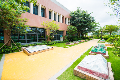 碧桂园十里银滩学校图片