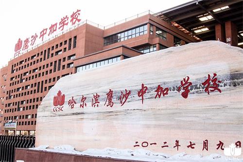 哈尔滨市鹰沙中加学校 哈尔滨市鹰沙中加学校