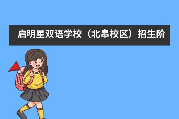 启明星双语学校（北皋校区）招生阶段有哪个？