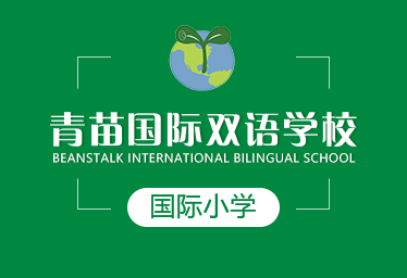 青苗国际双语学校国际小学