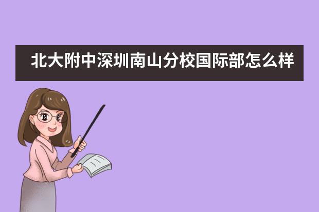 北大附中深圳南山分校国际部怎么样？
