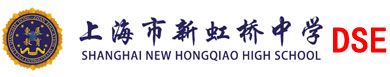 上海新虹桥中学DSElogo