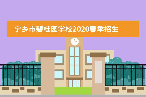 宁乡市碧桂园学校2020春季招生开始啦!