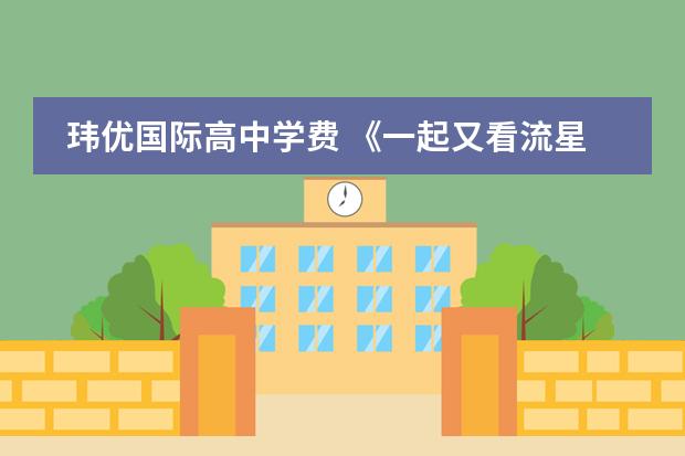 玮优国际高中学费 《一起又看流星雨》全集剧情介绍
