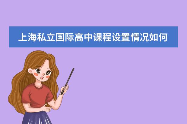 上海私立国际高中课程设置情况如何？