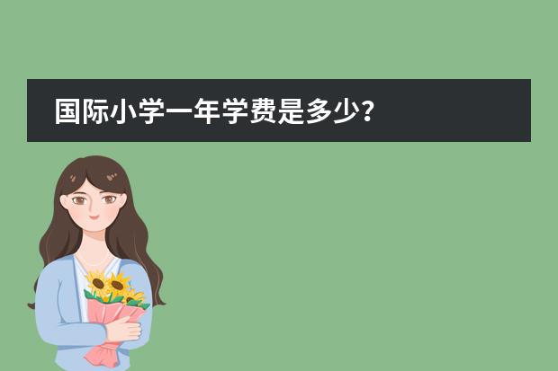 国际小学一年学费是多少?