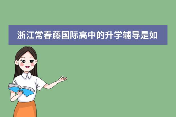浙江常春藤国际高中的升学辅导是如何安排的?