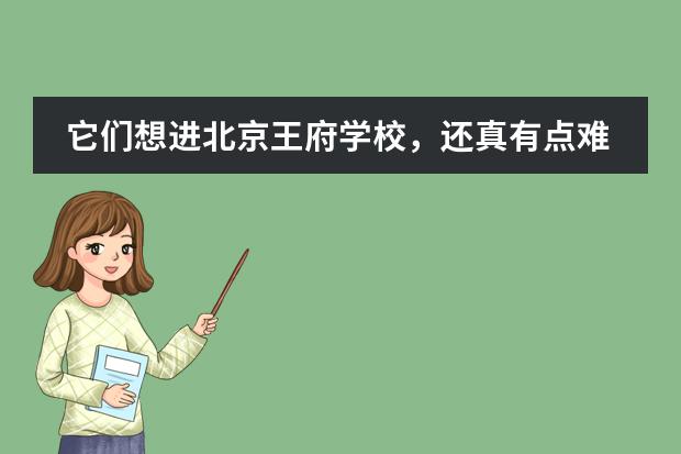 它们想进北京王府学校，还真有点难