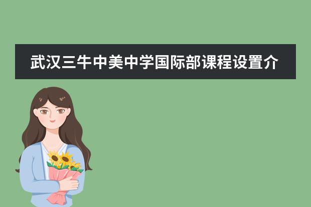 武汉三牛中美中学国际部课程设置介绍，学校有哪些优势？