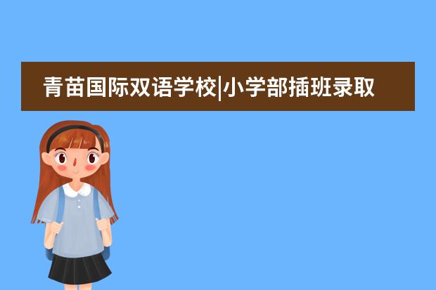青苗国际双语学校|小学部插班录取规则