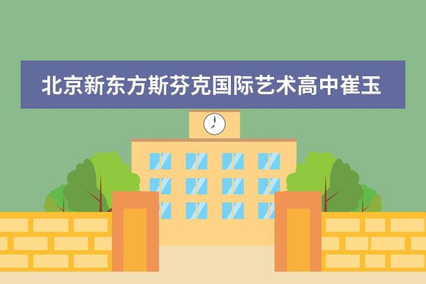 北京新东方斯芬克国际艺术高中崔玉亮的访谈实录