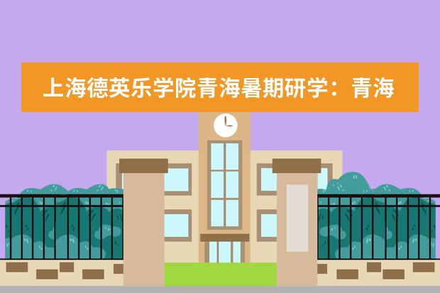 上海德英乐学院青海暑期研学:青海自然行走 Field Trip to Qinghai
