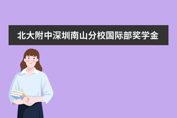 北大附中深圳南山分校国际部奖学金申请介绍