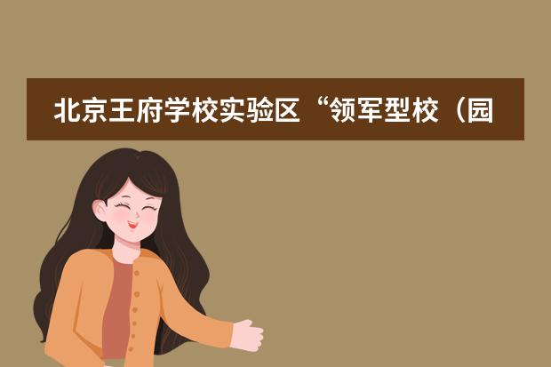 北京王府学校实验区&ldquo;领军型校（园）长成长工程&rdquo;课程领导力提升专题研讨会成功举办