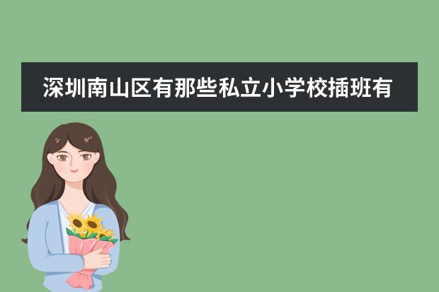 深圳南山区有那些私立小学校插班有名额(世青国际学校)