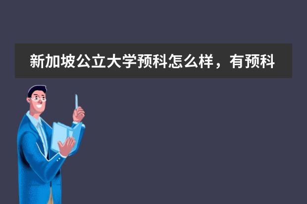 新加坡公立大学预科怎么样,有预科班推荐吗?