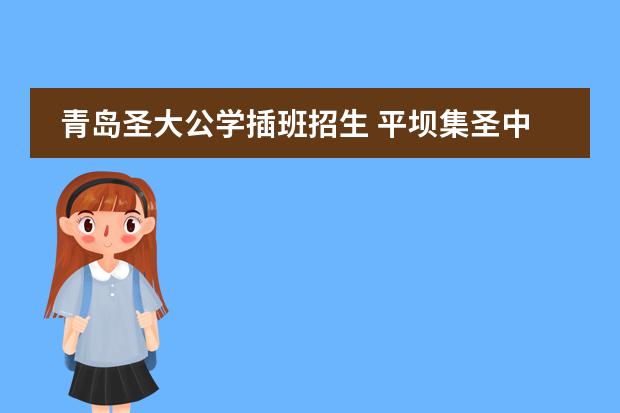 青岛圣大公学插班招生 平坝集圣中学招生电话