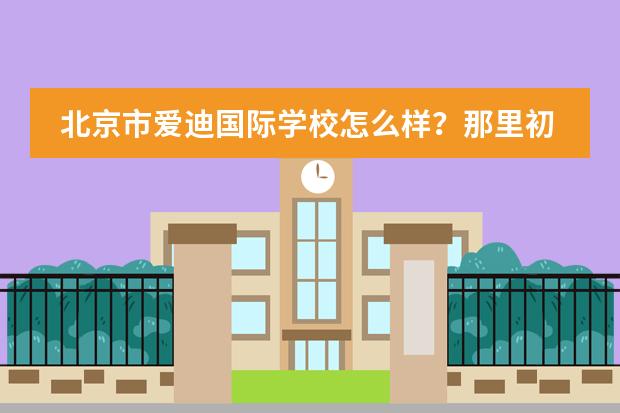 北京市爱迪国际学校怎么样?那里初中老师的工资高吗?大概多少?好进吗?