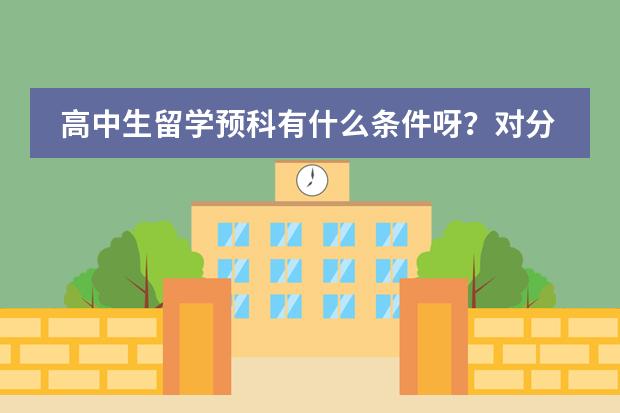 高中生留学预科有什么条件呀？对分数有要求嘛？