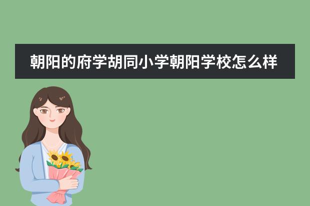 朝阳的府学胡同小学朝阳学校怎么样