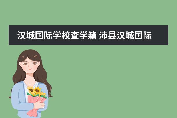 汉城国际学校查学籍 沛县汉城国际学校招生标准
