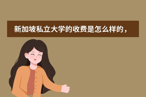 新加坡私立大学的收费是怎么样的,都有哪些费用呢?