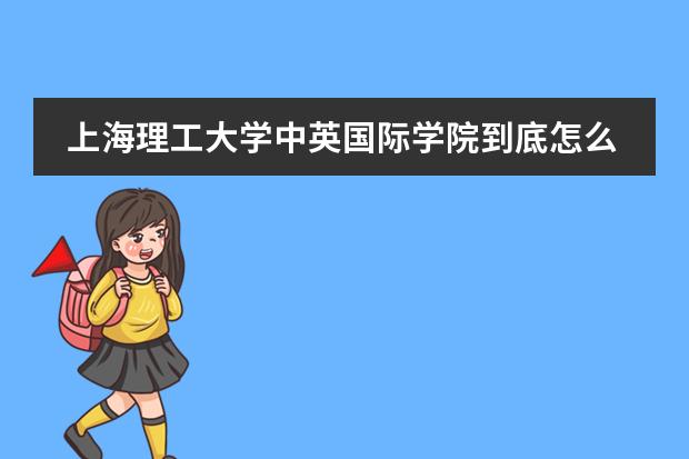 上海理工大学中英国际学院到底怎么样?