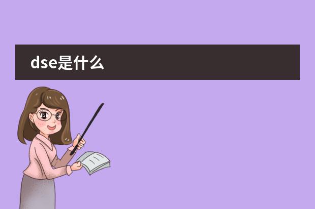dse是什么