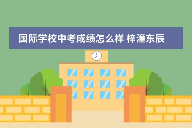 国际学校中考成绩怎么样 梓潼东辰国际学校中考成绩