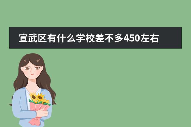 宣武区有什么学校差不多450左右?