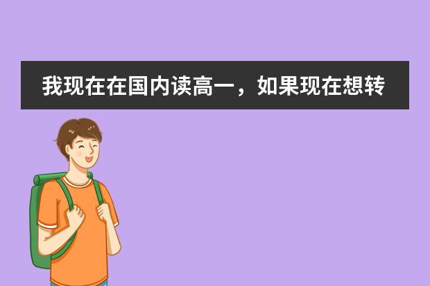 我现在在国内读高一，如果现在想转学去美国的高中，怎么办，有什么手续？