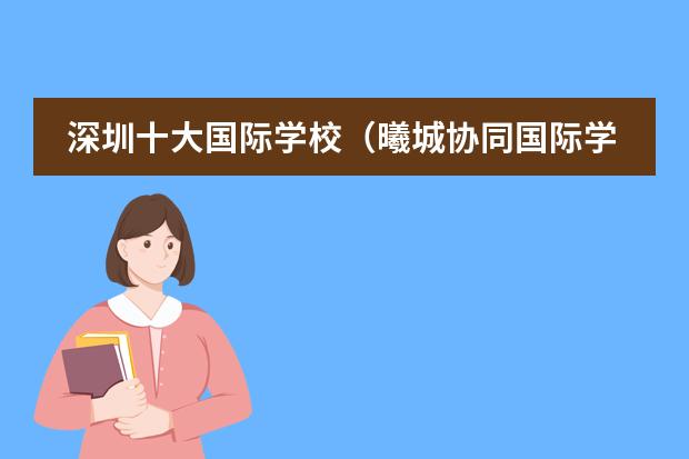 深圳十大国际学校（曦城协同国际学校入学条件）