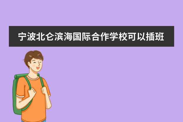宁波北仑滨海国际合作学校可以插班吗?