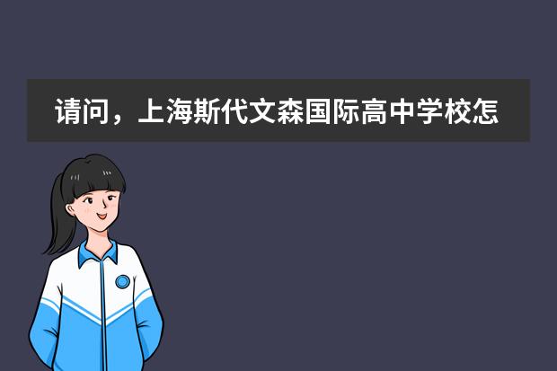 请问，上海斯代文森国际高中学校怎么样。