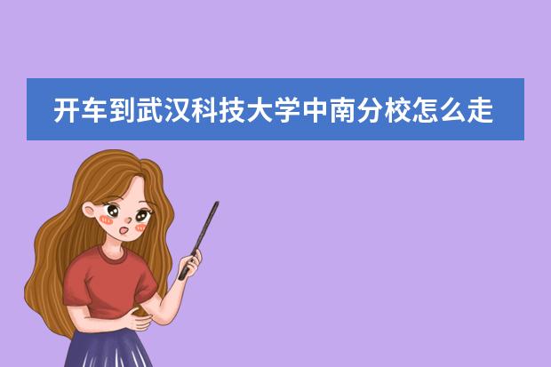 开车到武汉科技大学中南分校怎么走?