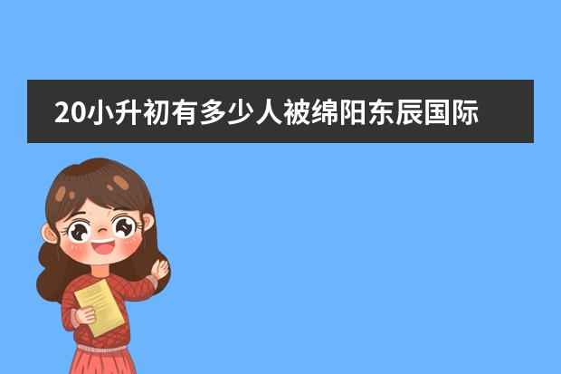 20小升初有多少人被绵阳东辰国际学校录取