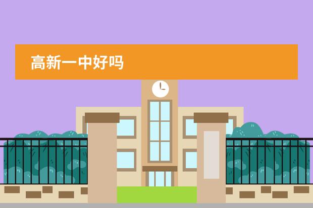 高新一中好吗