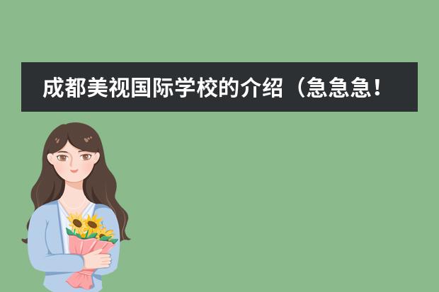 成都美视国际学校的介绍（急急急！请问从成仁路万达广场到成都美视国际学校坐哪路公交车？）