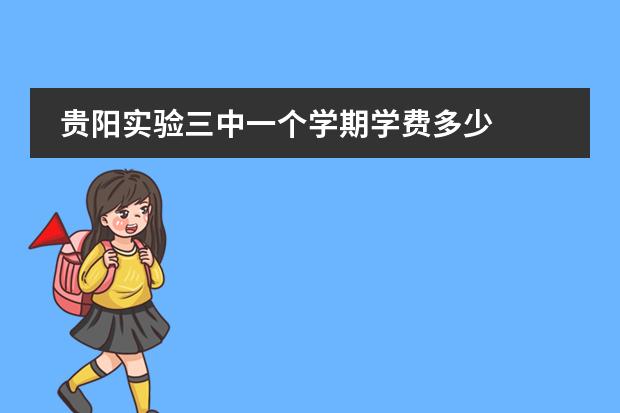 贵阳实验三中一个学期学费多少