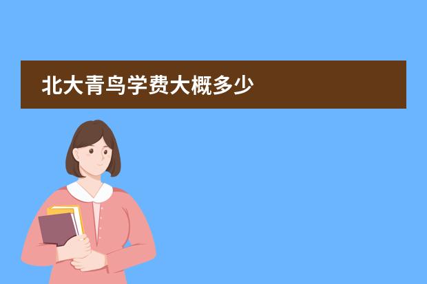 北大青鸟学费大概多少