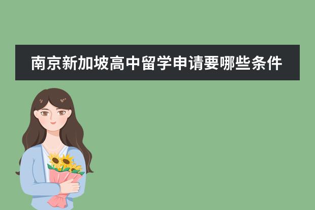 南京新加坡高中留学申请要哪些条件/哪个留学中介最好