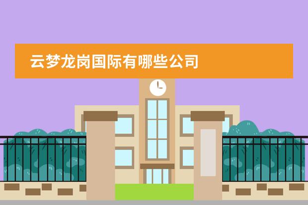 云梦龙岗国际有哪些公司