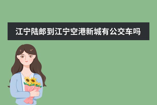 江宁陆郎到江宁空港新城有公交车吗？