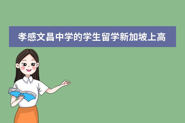 孝感文昌中学的学生留学新加坡上高学需要哪些条件