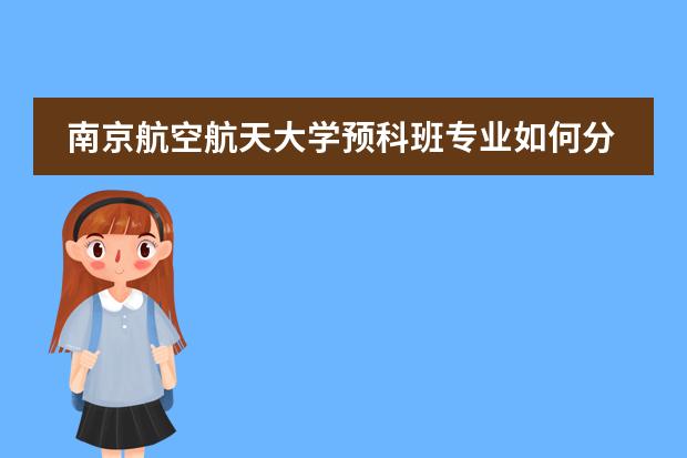 南京航空航天大学预科班专业如何分