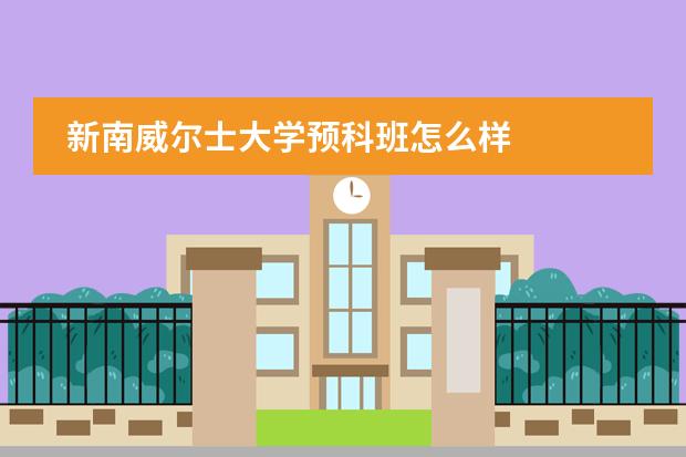 新南威尔士大学预科班怎么样