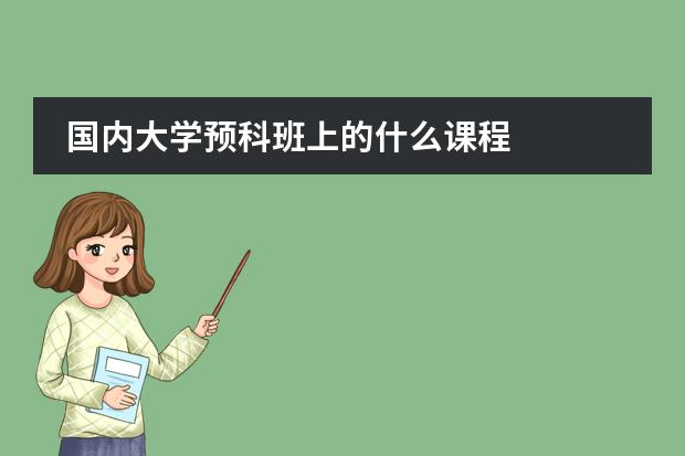国内大学预科班上的什么课程
